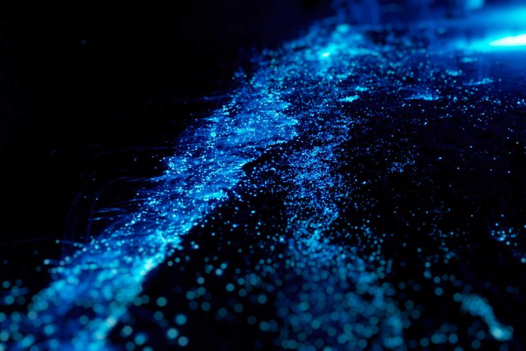 st croix bioluminescent bay
