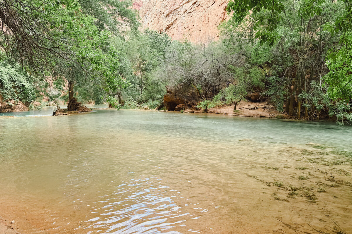 creek crossing on the beaver falls trail in havasupai