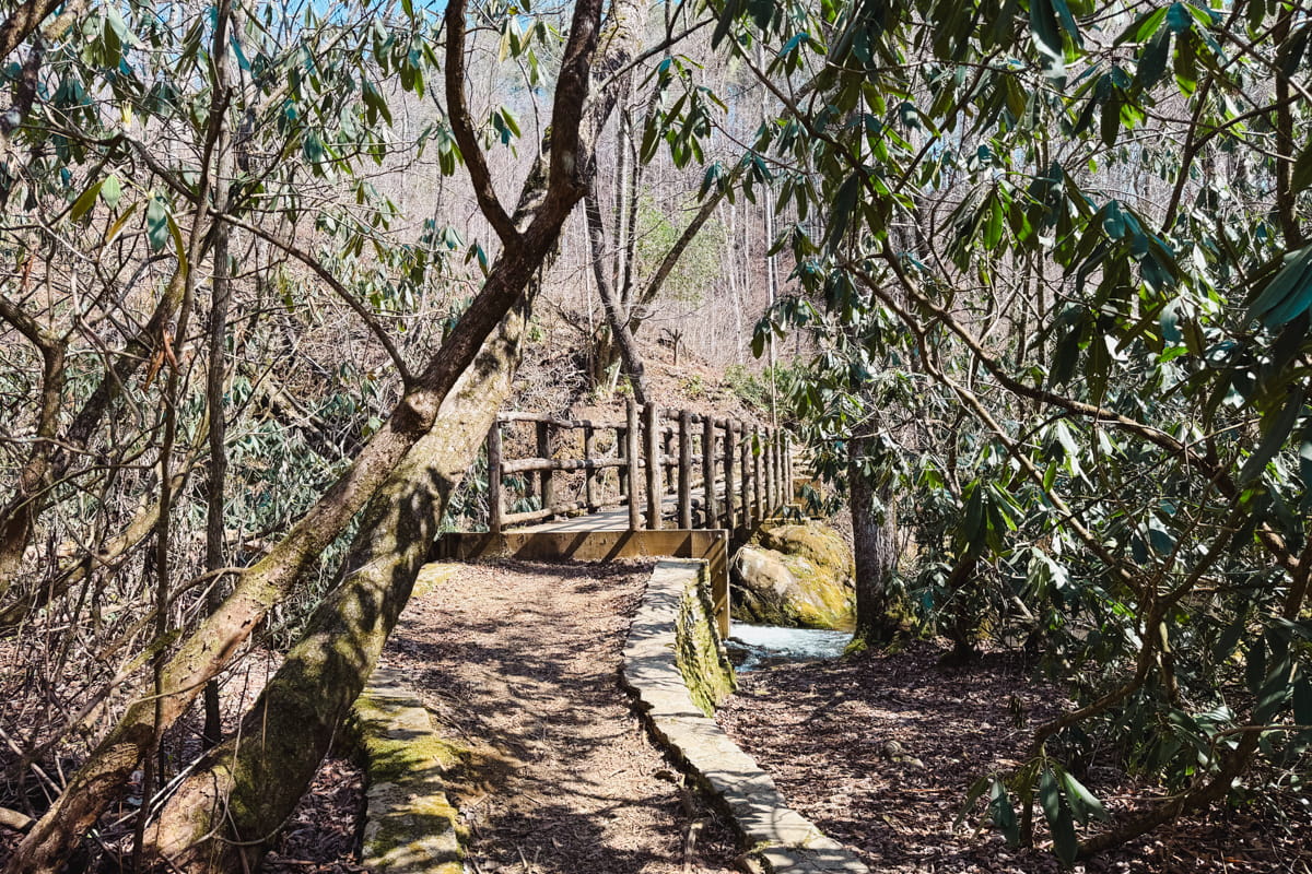 bridge on joyce kilmer lower loop