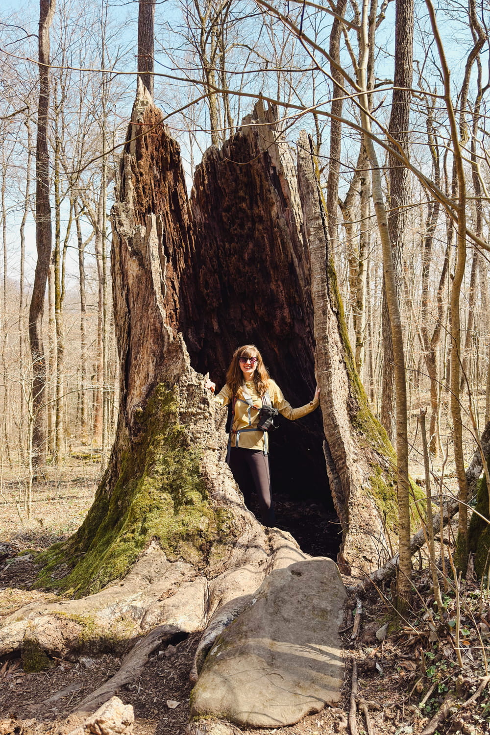 girl standing inside a broken tree trunk on the joyce kilmer upper loop